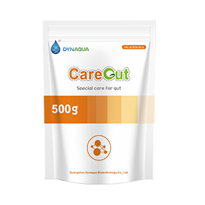 204-CareGut