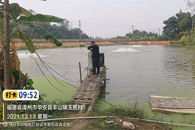 黄颡鱼不吃料治疗效果案例
